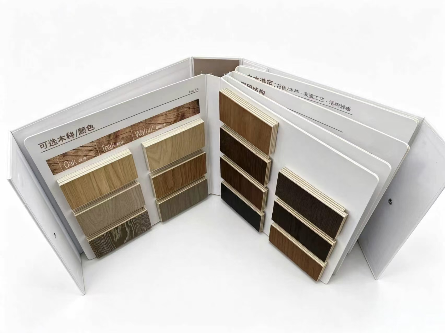 DISPLAY FOLDER CATALOG-12